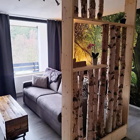 Appartement Renoviertes In Winterberg, Cleaning Included *